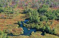  Paysage, automne, taïga, vue aerienne, kamtchatka, russie 
