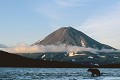  Ours brun, mammifere, volcan, kamtchatka, russie 
