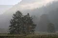  Paysage, see, urbès, brume, haut-rhin, france 