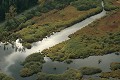  see d'urbès, tourbière, bas-marais, vallée thur, massif vosgien, haut-rhin, alsace 