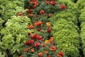  parc, jardin, potagers, wesserling, vallée Thur, haut-rhin, alsace 