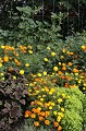  parc, jardins, potagers, wesserling, vallée Thur, haut-rhin, alsace 