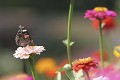  parc, jardins, potagers wesserling, vallée thur, haut-rhin, alsace 