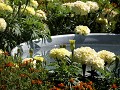  jardins métissés, parc wesserling, potagers, vallée thur, haut-rhin, alsace 