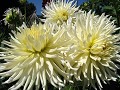  jardins métissés, parc wesserling, potagers, vallée thur, haut-rhin, alsace 