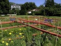  jardins métissés, parc wesserling, potagers, vallée thur, haut-rhin, alsace 