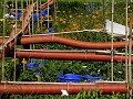  jardins métissés, parc wesserling, potagers, vallée thur, haut-rhin, alsace 