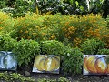  jardins métissés, parc wesserling, potagers, vallée thur, haut-rhin, alsace 