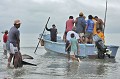  Poisson, requin, requin marteau, sphyrna sp., shark, hammer headed shark, pêche, equateur, exploitation, ressource, ocean pacifique, ailerons, puerto lopez 