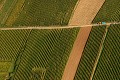  vue aérienne, vignoble alsacien, vigne, vendange, automne, haut-rhin, alsace 