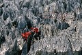  tsingy, petit tsingy, ankarana, madagascar 