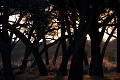  Paysage, Parc national Hwange, Zimbabwe, afrique 