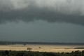  paysage, savane, orage, zèbres, gnous, migration, masai mara, kenya, afrique 