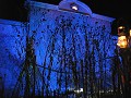  Noël au jardin, parc Wesserling, illuminations, potagers, vallée Thur, haut-Rhin, alsace 