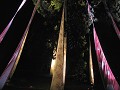 noël au jardin, parc wesserling, illuminations, vallée thur, haut-rhin, alsace 