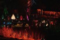  noël au jardin, parc wesserling, illuminations, vallée thur, haut-rhin , alsace 