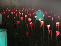  noël au jardin, parc wesserling, illuminations, vallée thur, haut-rhin , alsace 