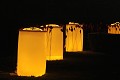  noël au jardin, parc wesserling, illuminations, vallée thur, haut-rhin, alsace 