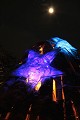  noël au jardin, parc wesserling, illuminations, vallée thur, haut-rhin, alsace 