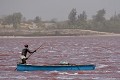  récolte de sel, lac rose, sénégal, afrique de l'ouest 