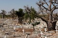  l'île de fadiouth, cimetière mixte, baobab, greniers à mil, sénégal, petite côte, afrique de l'ouest 