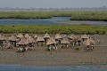  l'île de fadiouth, cimetière mixte, baobab, greniers à mil, sénégal, petite côte, afrique de l'ouest 