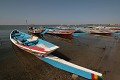  embarcations pêche, mar lodj, sine saloum, missirah, sénégal, afrique de l'ouest 