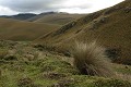  paysage, Andes, Equateur 