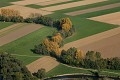  Alsace, ried l'Ill, plaine d'alsace, haut-rhin, bas-rhin, paysage, cours d'eau, rivière, agriculture 