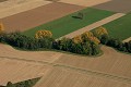  Alsace, ried l'Ill, plaine d'alsace, haut-rhin, bas-rhin, paysage, cours d'eau, rivière, agriculture 