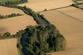  Alsace, ried l'Ill, plaine d'alsace, bas-rhin, Illhaeusern, paysage, cours d'eau, rivière, agriculture 