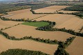  Alsace, ried l'Ill, plaine d'alsace, bas-rhin, haut-Rhin, Illhaeusern, paysage, cours d'eau, rivière, agriculture 