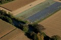  Alsace, ried l'Ill, plaine d'alsace, bas-rhin, haut-Rhin, Illhaeusern, paysage, cours d'eau, rivière, agriculture, maraîchage 