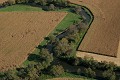  Alsace, ried l'Ill, plaine d'alsace, bas-rhin, haut-Rhin, Illhaeusern, paysage, cours d'eau, rivière, agriculture, maraîchage 