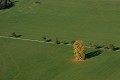  Alsace, ried l'Ill, plaine d'alsace, bas-rhin, haut-Rhin, Illhaeusern, paysage, cours d'eau, rivière, agriculture, prairies inondables 