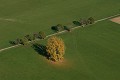  Alsace, ried l'Ill, plaine d'alsace, bas-rhin, haut-Rhin, Illhaeusern, paysage, cours d'eau, rivière, agriculture, prairies inondables 
