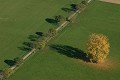  Alsace, ried l'Ill, plaine d'alsace, bas-rhin, haut-Rhin, Illhaeusern, paysage, cours d'eau, rivière, agriculture, prairies inondables 