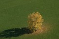  Alsace, ried l'Ill, plaine d'alsace, bas-rhin, haut-Rhin, Illhaeusern, paysage, cours d'eau, rivière, agriculture, prairies inondables 