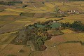  Alsace, haut-rhin, bergheim, rorschwihr, vignes, vignoble, paysage 