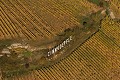  Alsace, haut-rhin, westhalten, zinnkoepflé, grand cru, patrimoine, piémont, vignes, vignoble, paysage 
