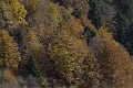  Massif vosgien 
 alsace 
 hautes chaumes 
 hautes vosges 
 paysage 
 vallée munster 