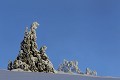  paysages, crêtes massif vosgien, neige, hiver, givre, haut-rhin, alsace 
