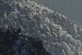  hautes vosges hiver neige crêtes forêt givre 