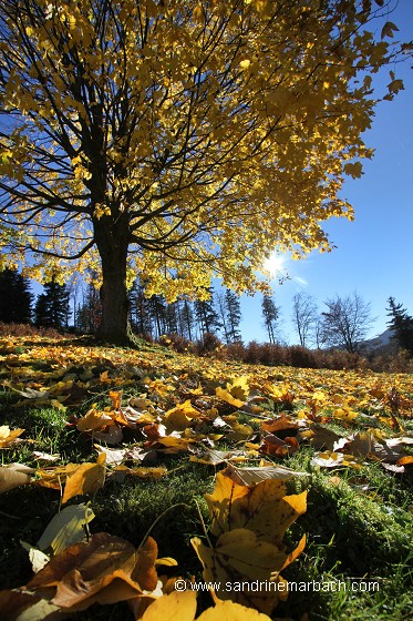 Novembre 2015