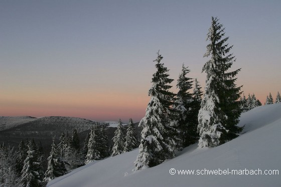 Paysage d'hiver - Massif Vosgien