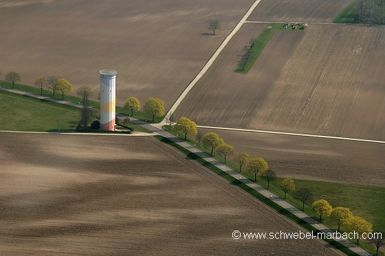 Alignement d'arbres en plaine d'Alsace