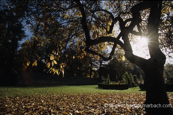 Parc de Wesserling