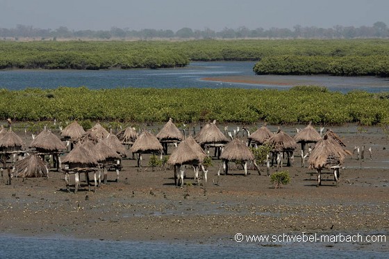 Greniers à mil de l'île de Fadiouth - Petite Côte
