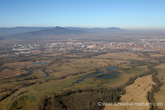 Ried de l'Ill - Plaine d'Alsace