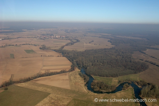 Ried de l'Ill - Plaine d'Alsace